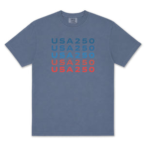 USA 250 T-Shirt