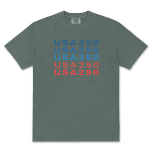 USA 250 T-Shirt