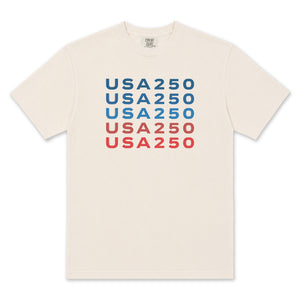 USA 250 T-Shirt