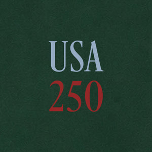 USA Liberty Pullover Hoodie