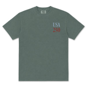 USA Liberty T-Shirt