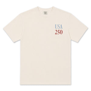USA Liberty T-Shirt